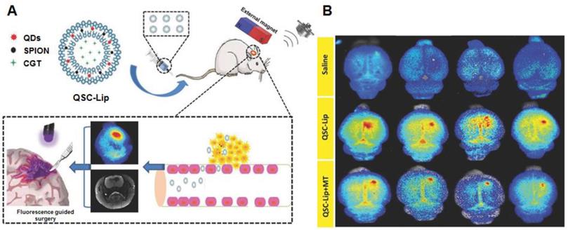 Theranostics Image