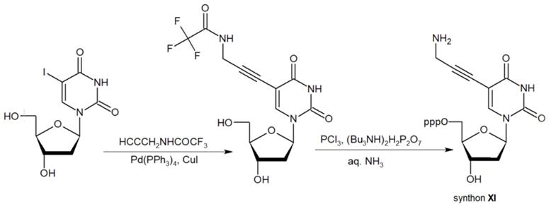 Theranostics Image