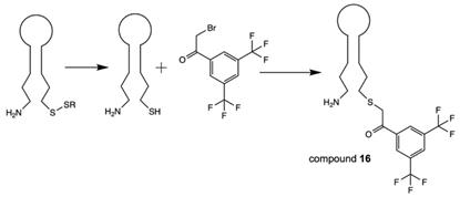 Theranostics Image