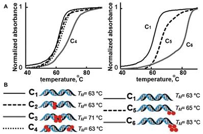 Theranostics Image