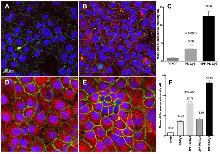 Theranostics Image