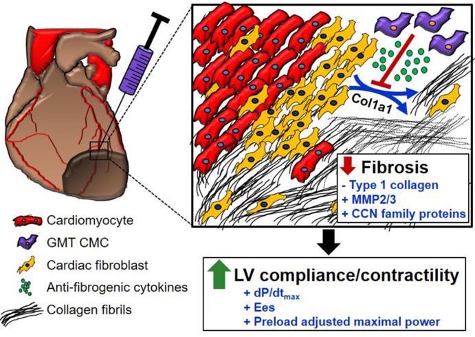 Theranostics Image