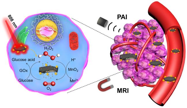 Theranostics Image