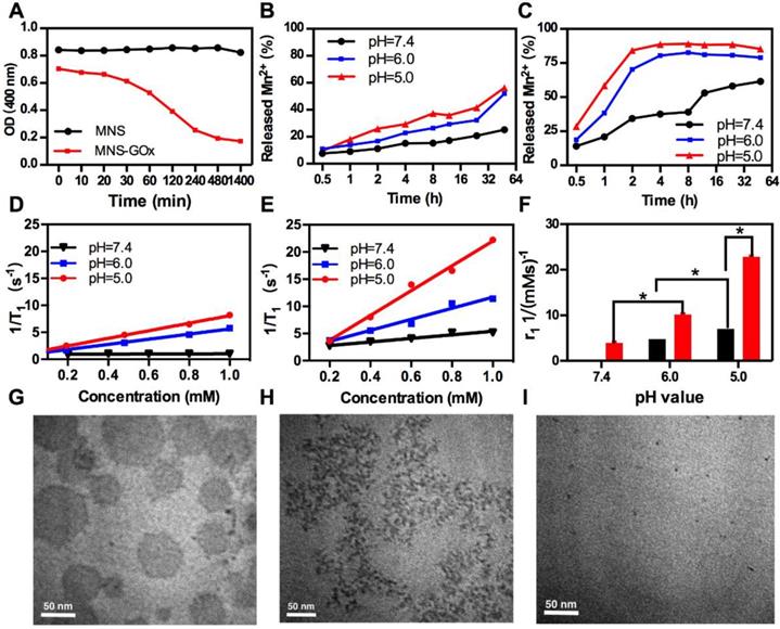 Theranostics Image