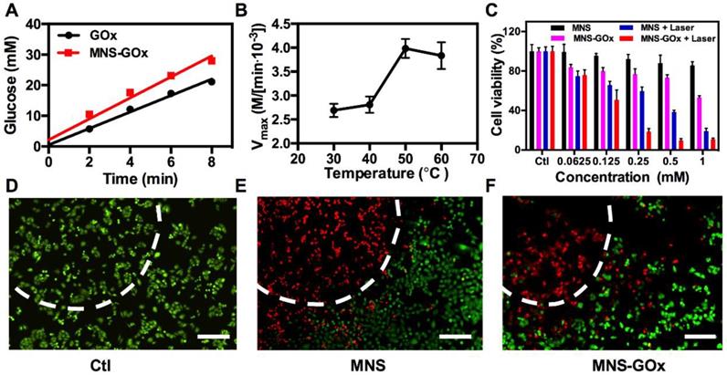 Theranostics Image