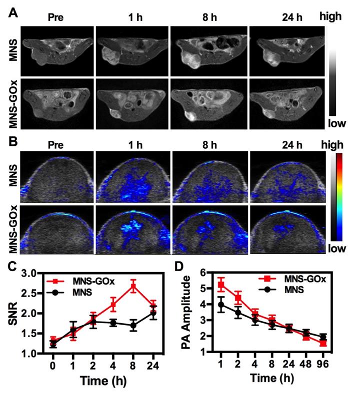 Theranostics Image