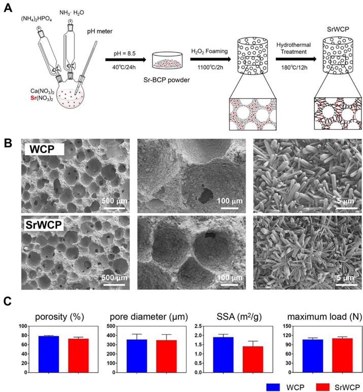 Theranostics Image