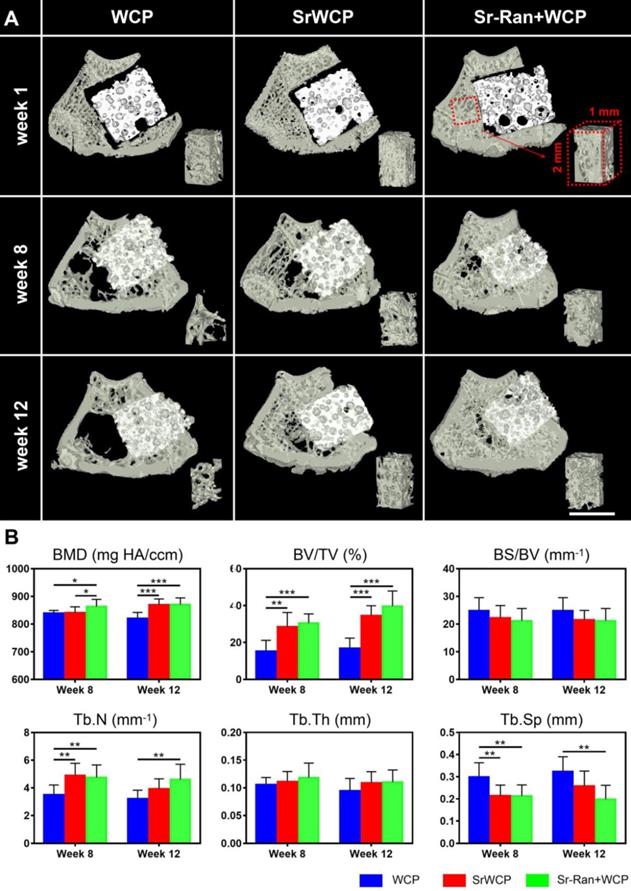 Theranostics Image