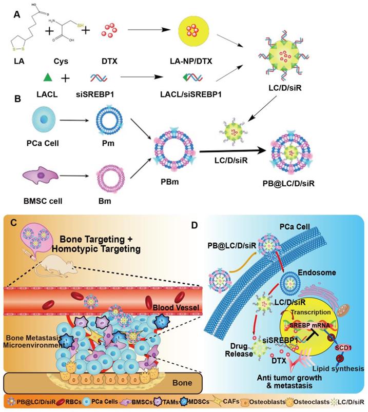 Theranostics Image