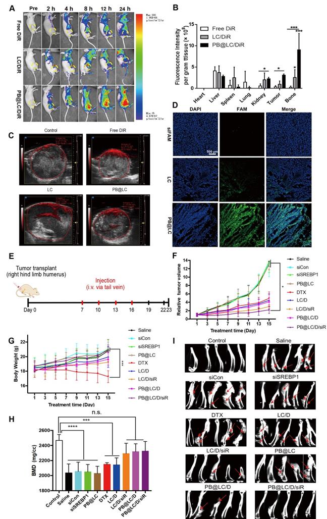 Theranostics Image