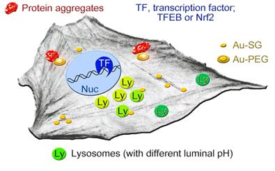 Theranostics Image