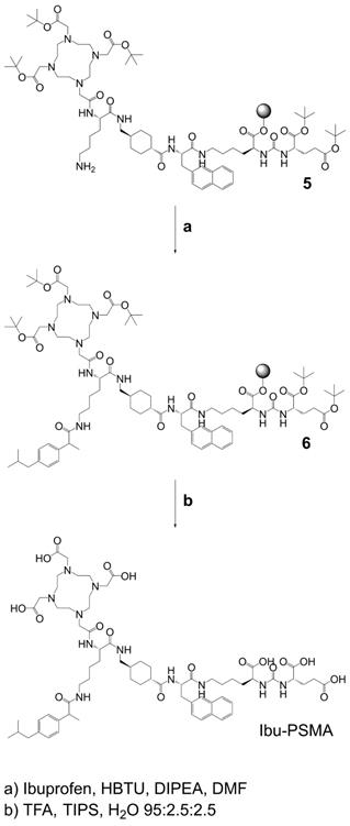 Theranostics Image