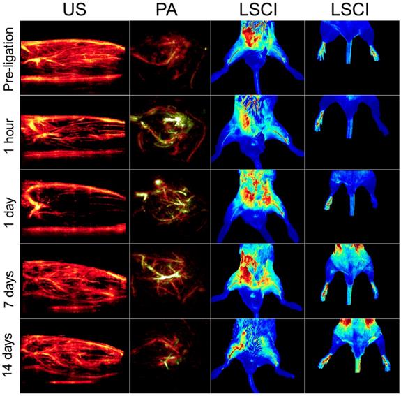 Theranostics Image