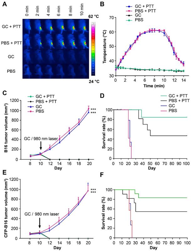 Theranostics Image