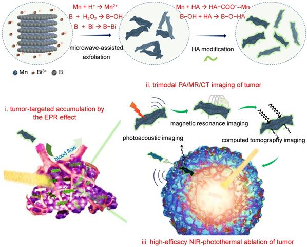 Theranostics Image