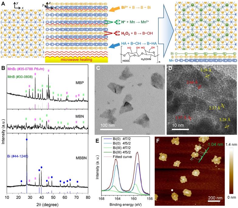 Theranostics Image