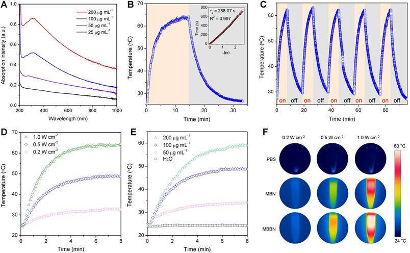 Theranostics Image