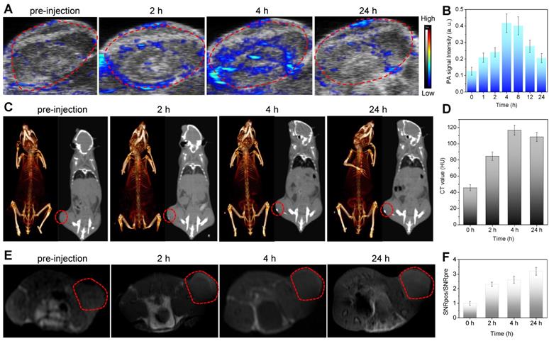 Theranostics Image