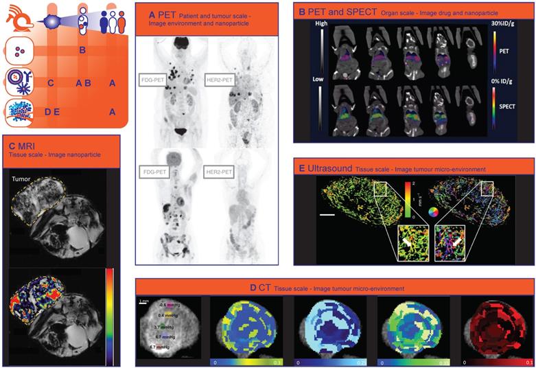 Theranostics Image