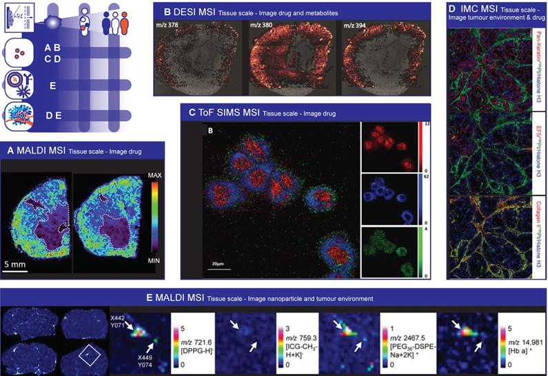 Theranostics Image