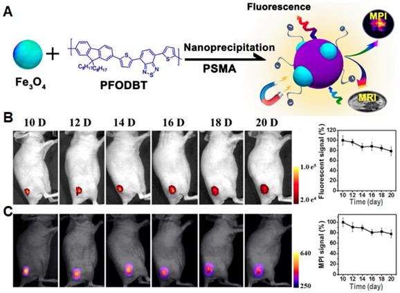 Theranostics Image