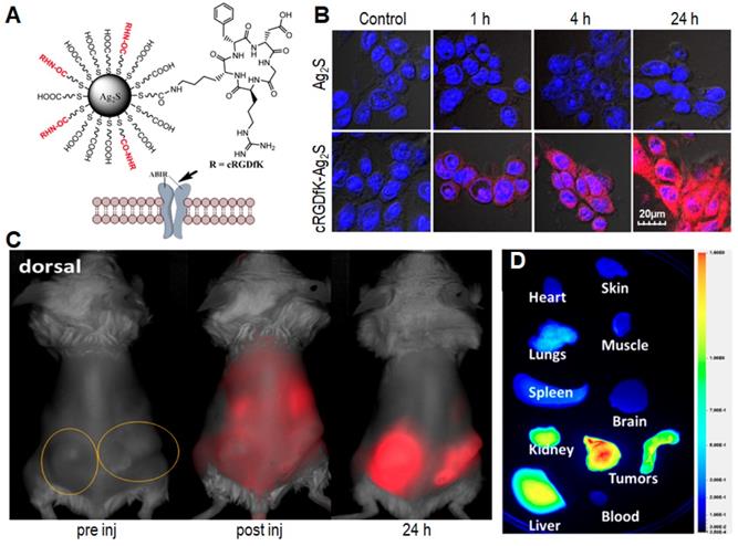 Theranostics Image