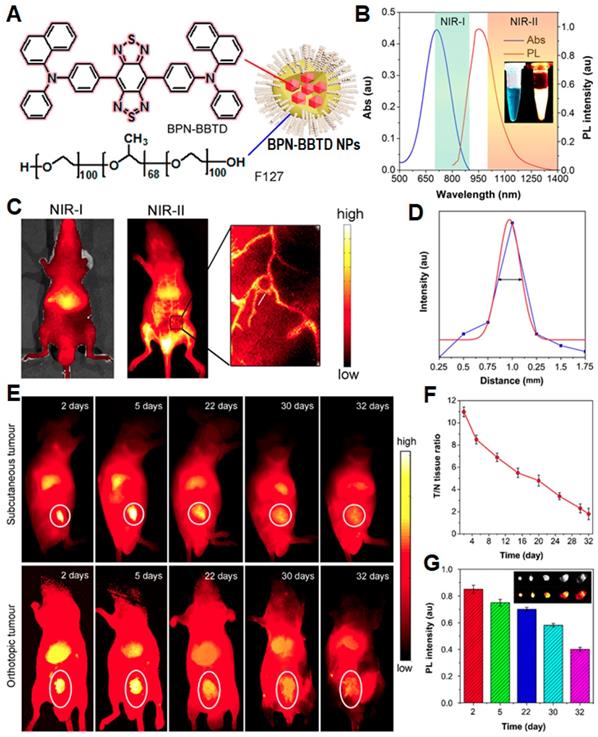 Theranostics Image