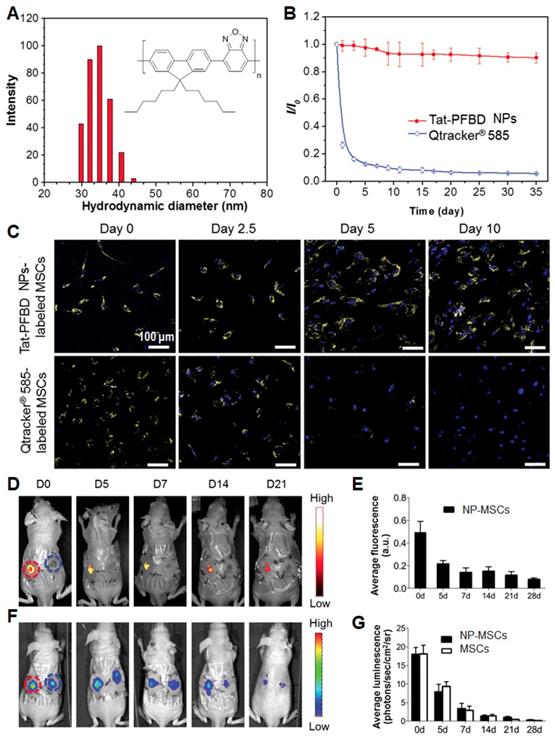 Theranostics Image