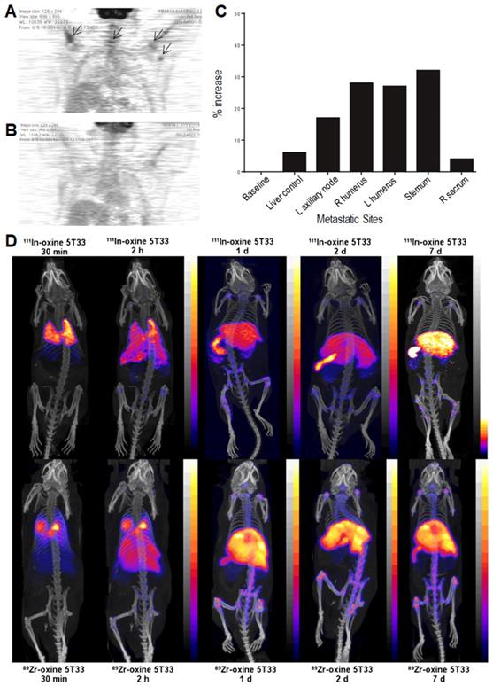 Theranostics Image