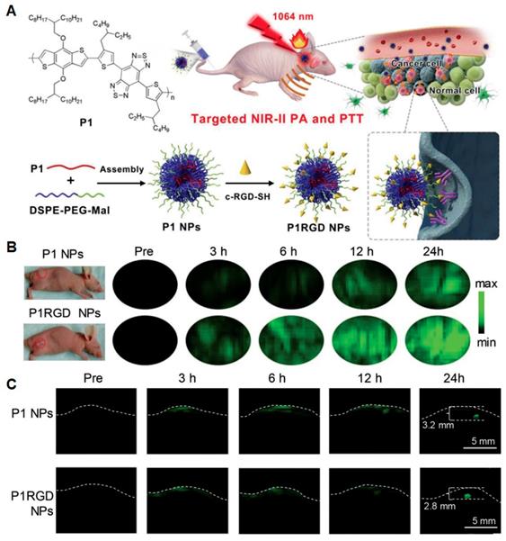 Theranostics Image