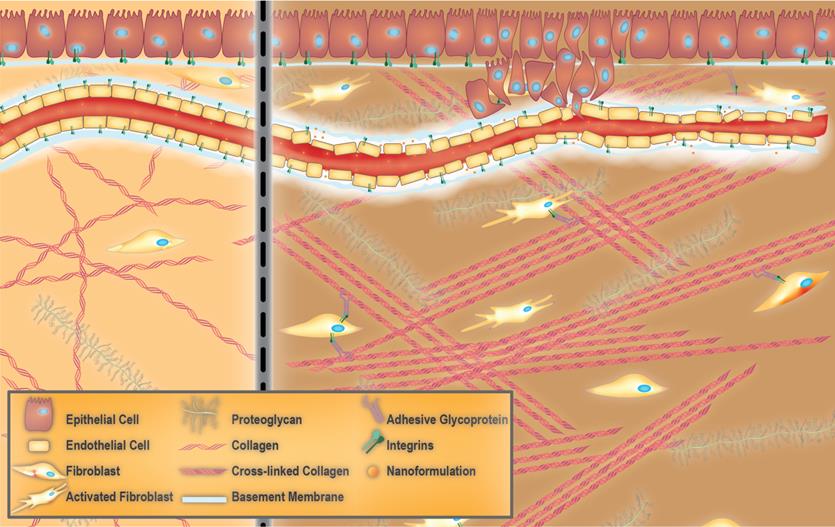 Theranostics Image