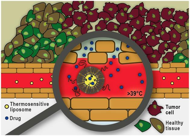 Theranostics Image