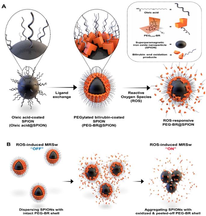 Theranostics Image