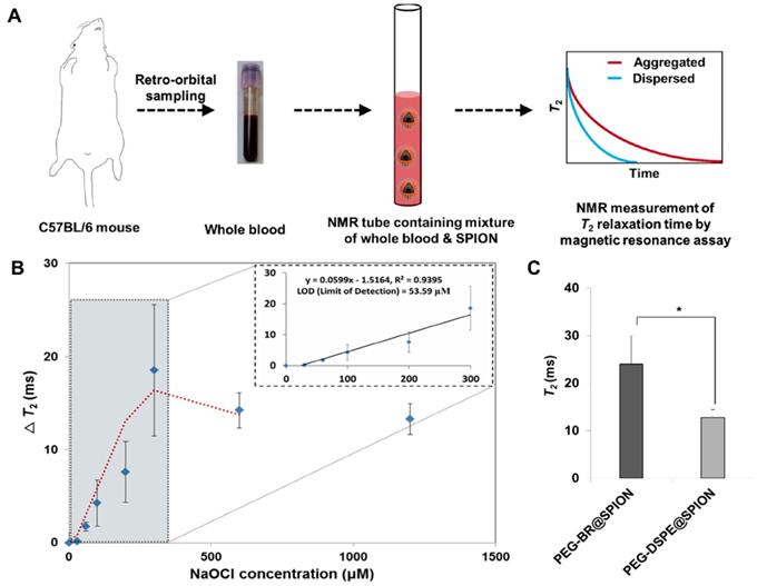 Theranostics Image