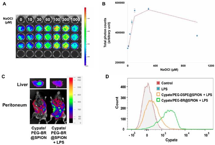 Theranostics Image