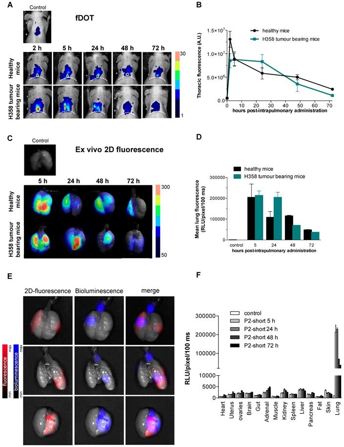 Theranostics Image