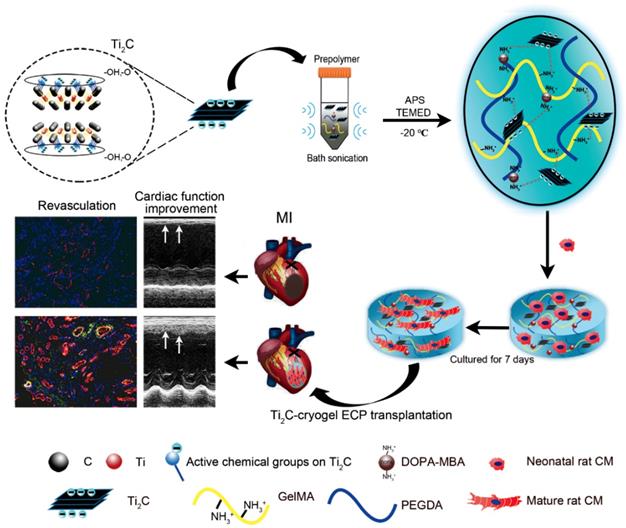 Theranostics Image