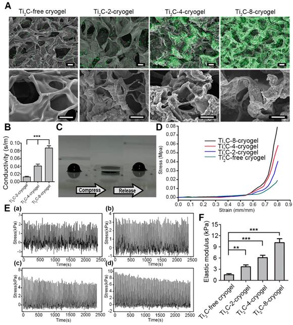 Theranostics Image