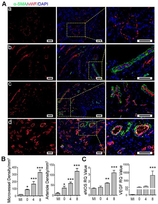 Theranostics Image