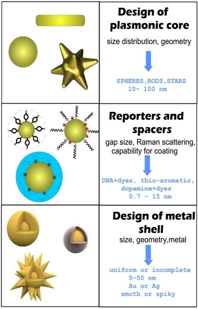 Theranostics Image