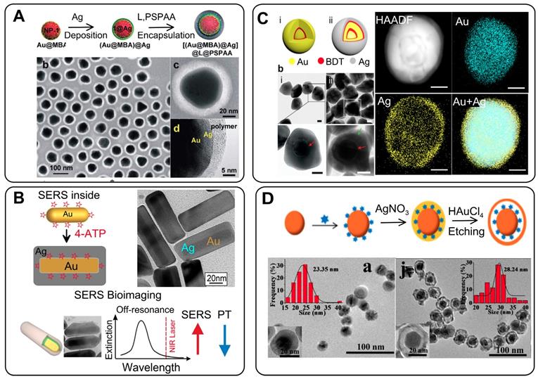 Theranostics Image