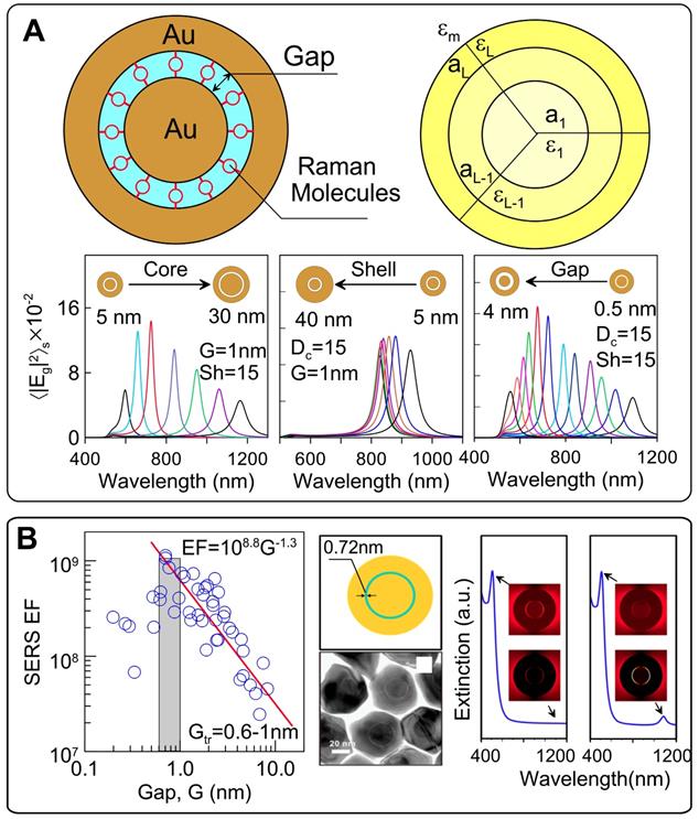 Theranostics Image