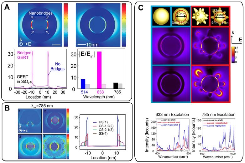 Theranostics Image