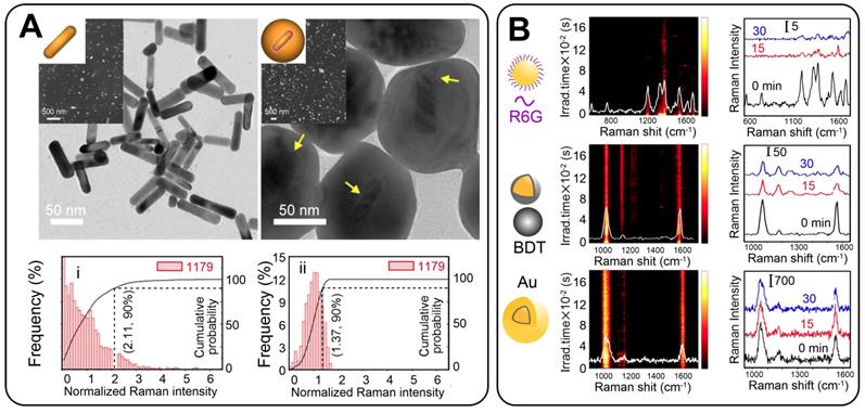 Theranostics Image