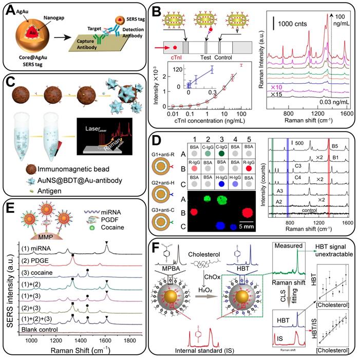 Theranostics Image