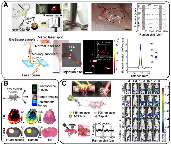 Theranostics Image