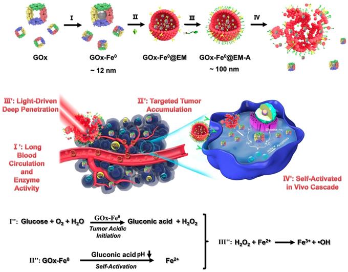 Theranostics Image