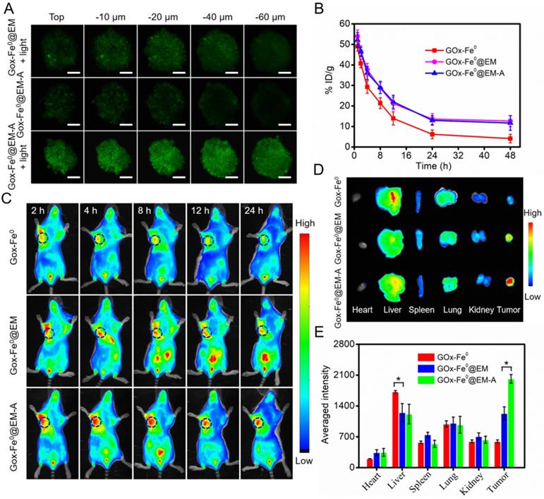 Theranostics Image