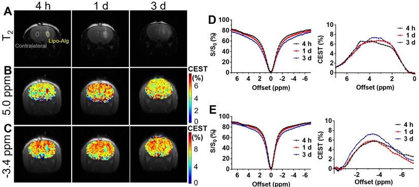 Theranostics Image