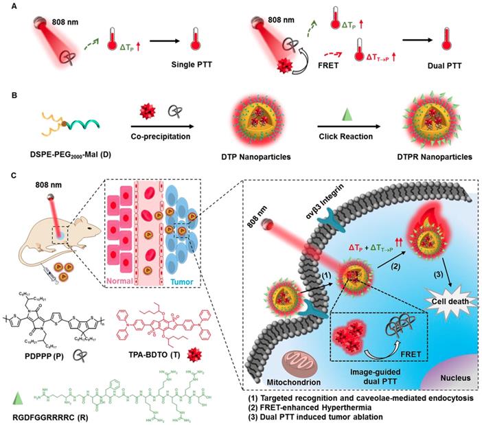 Theranostics Image